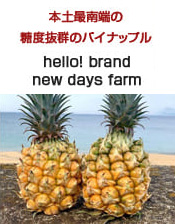 hello! brand new days farm