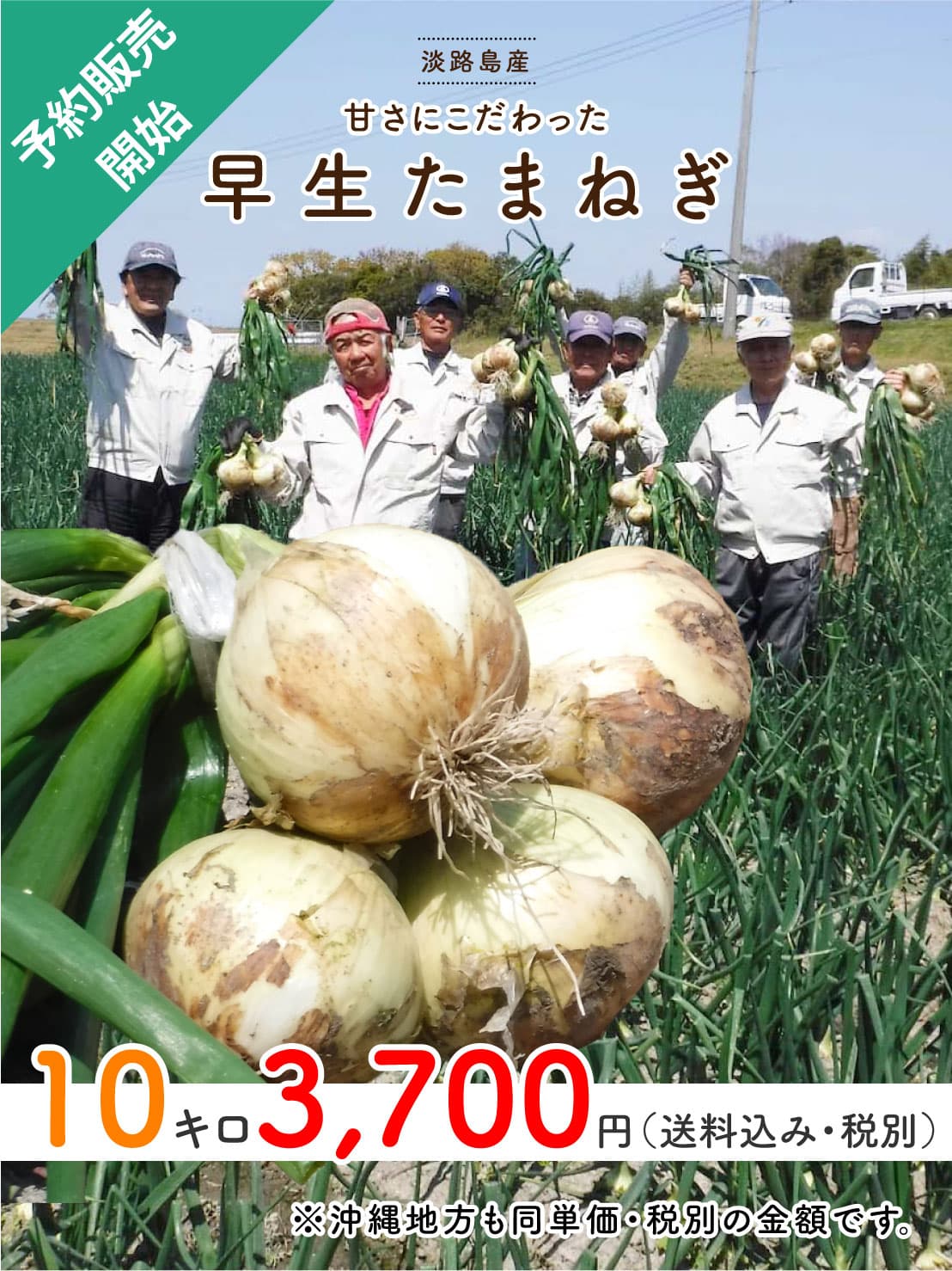 ★早生（わせ）たまねぎ　10キロ 限定10個っ！！(送料込み）